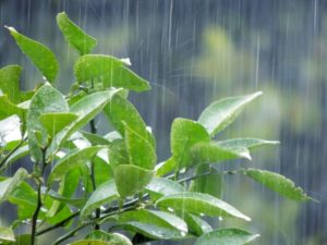 雨　外壁塗装　東京　江戸川区　葛飾区　ラクスト