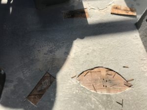 外壁塗装　防水工事　雨漏り修理　東京　江戸川区　葛飾区